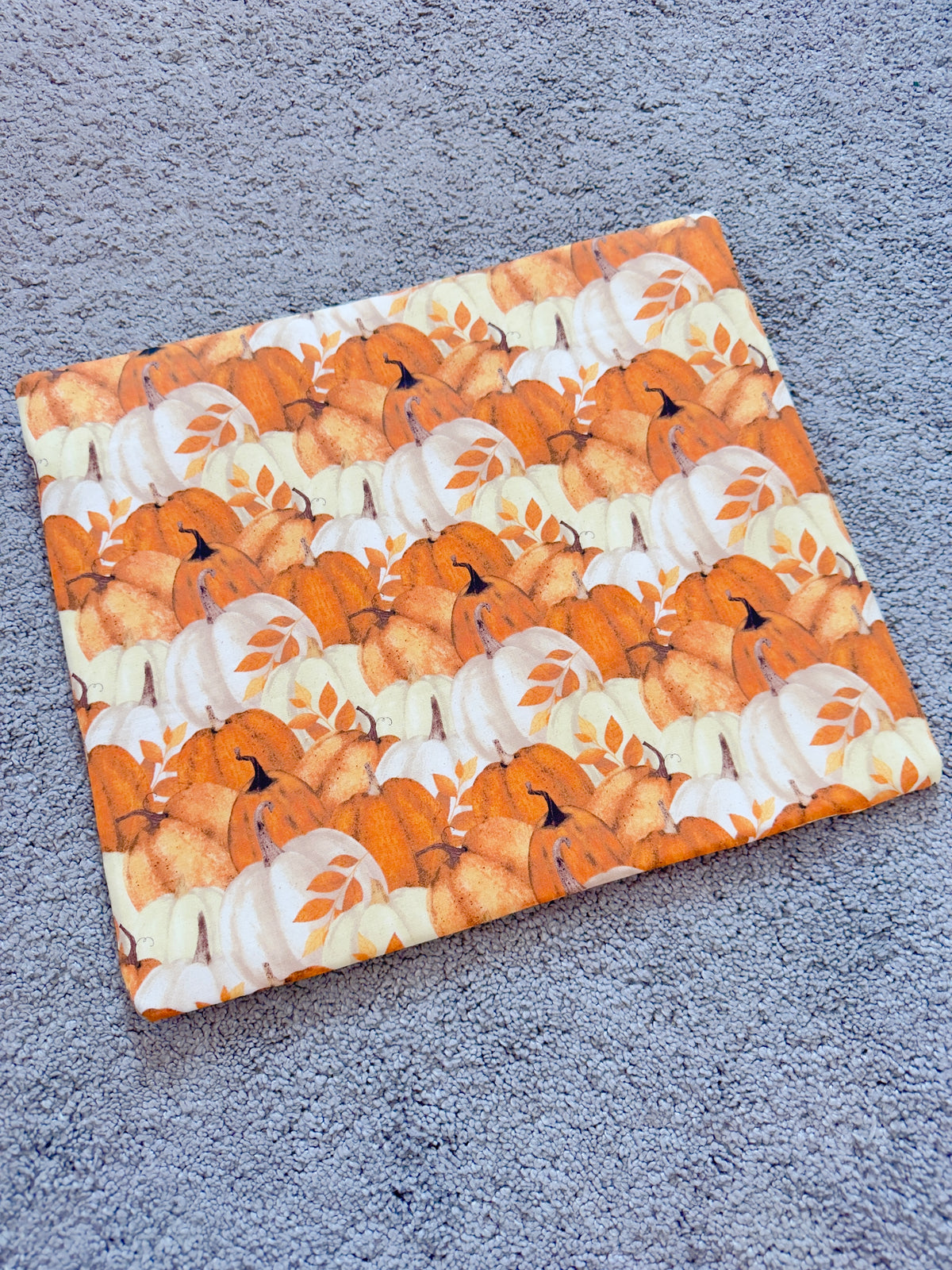 Pumpkins Project Bag - Standard Size